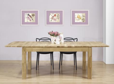 Table de repas rectangulaire 160X100 Ecolo réalisée en Chêne Ligne Contemporaine 